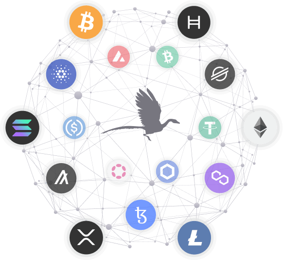 Vektor Tradeviax overview explaining its role among emerging crypto platforms